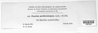 Image Associated With the Occurence